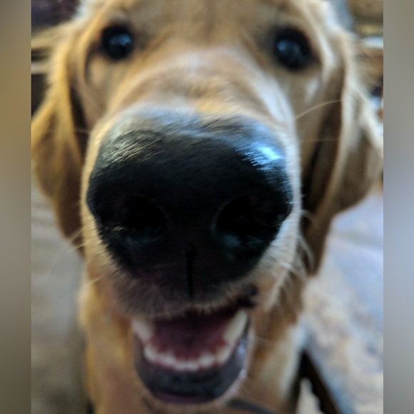 🌟LIVE SHOW🎥 SHARING YOURS & MINE-LIKE THIS LISTING!🌟 - Picture 12 of 15